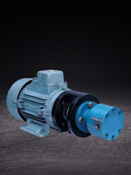 Lubrication Pump (Rotary Pump) (JKMP)