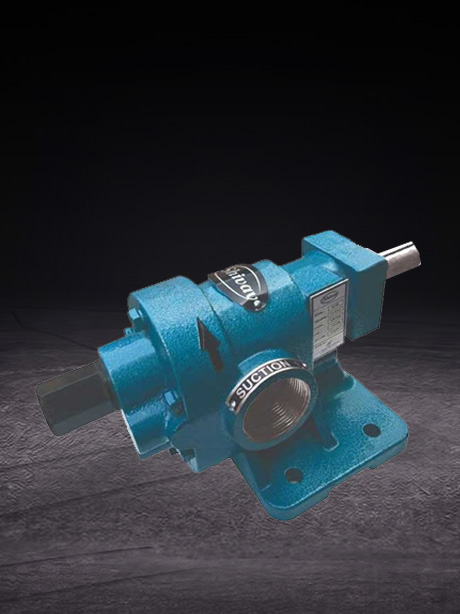 Rotary Gear Pump (JK)